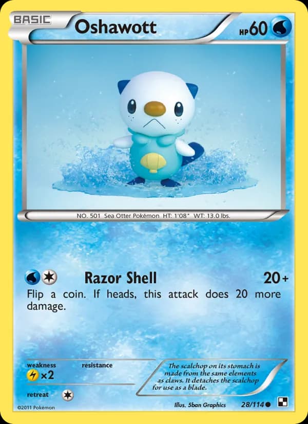 Oshawott (28)