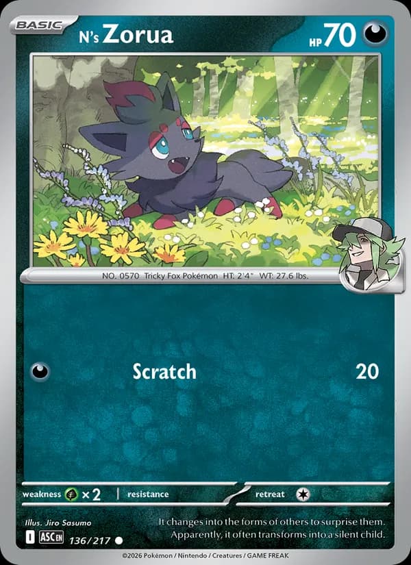 N's Zorua
