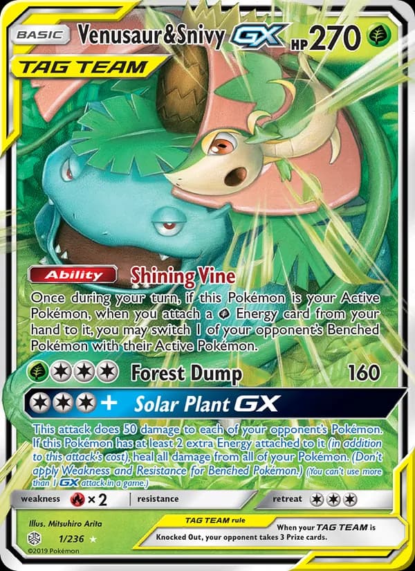 Venusaur & Snivy GX
