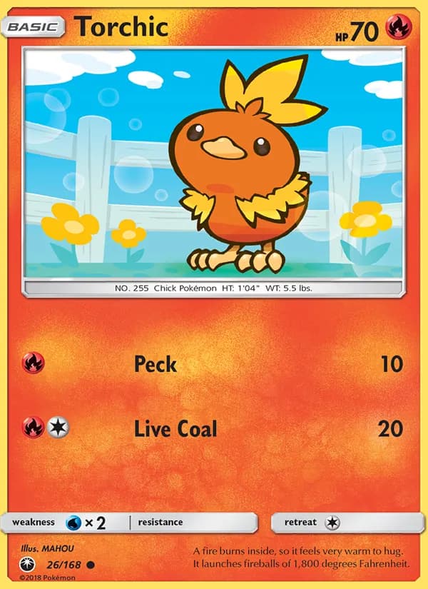 Torchic
