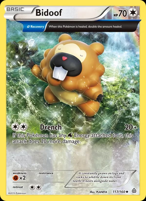 Bidoof (Alpha)