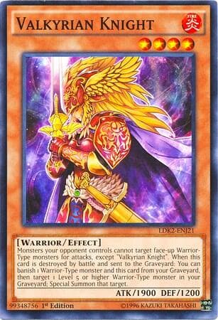 Valkyrian Knight