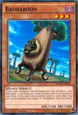 Baobaboon