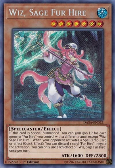 Wiz, Sage Fur Hire