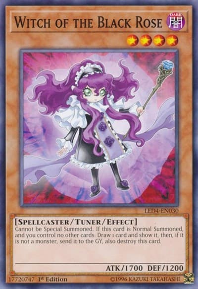 Witch of the Black Rose
