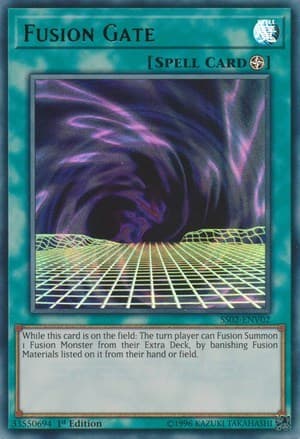 Fusion Gate