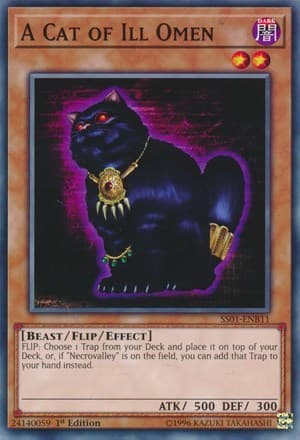 A Cat of Ill Omen
