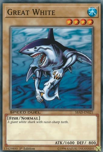 Great White