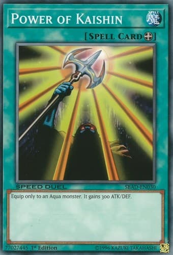 Power of Kaishin