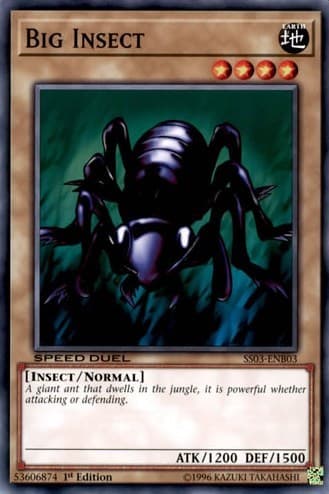 Big Insect