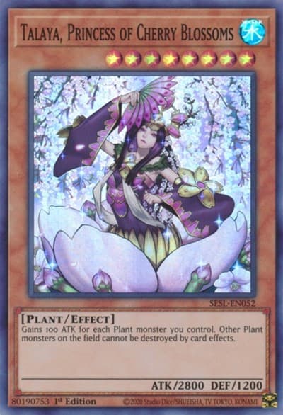 Talaya, Princess of Cherry Blossoms