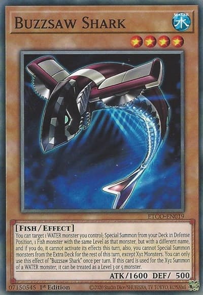 Buzzsaw Shark