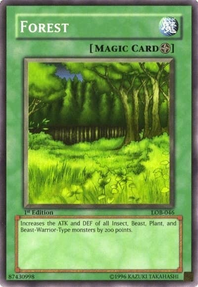 Forest