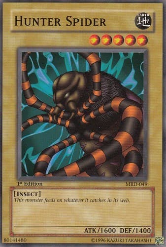 Hunter Spider