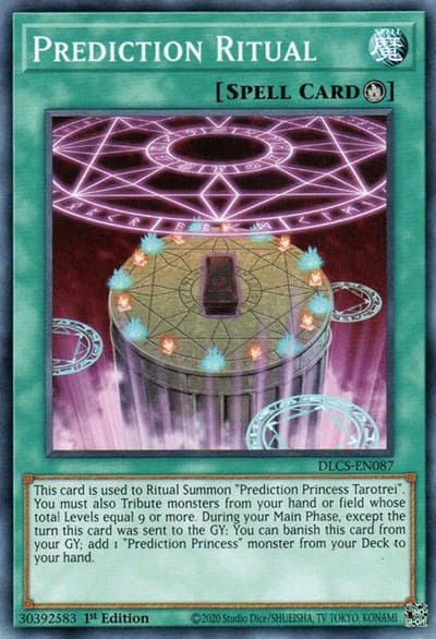 Prediction Ritual