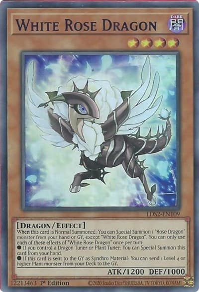White Rose Dragon (Purple)