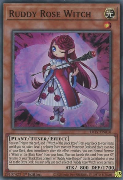 Ruddy Rose Witch