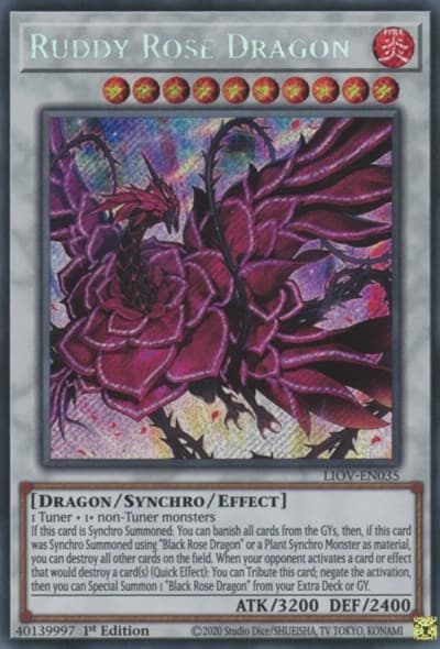 Ruddy Rose Dragon