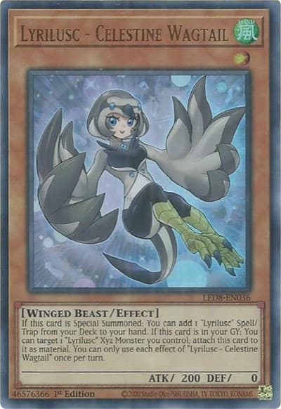 Lyrilusc - Celestine Wagtail