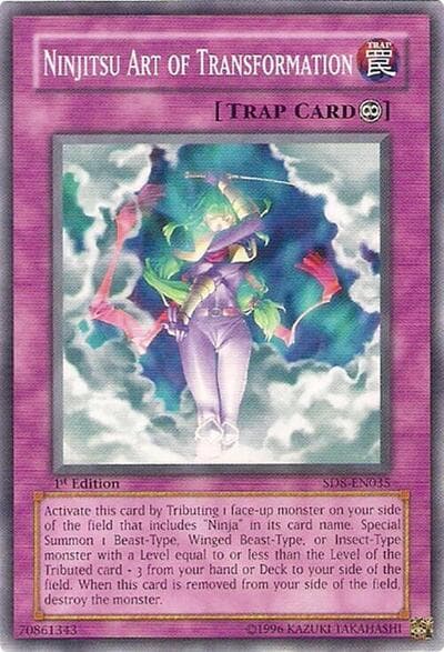 Ninjitsu Art of Transformation