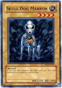 Skull Dog Marron