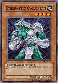 Cybernetic Cyclopean