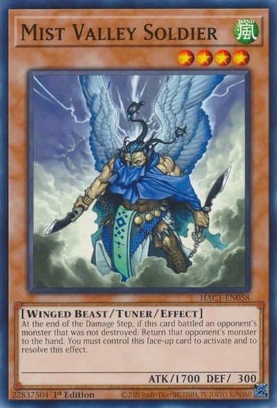 Mist Valley Soldier