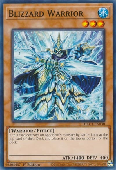 Blizzard Warrior