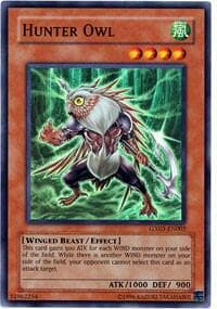 Hunter Owl