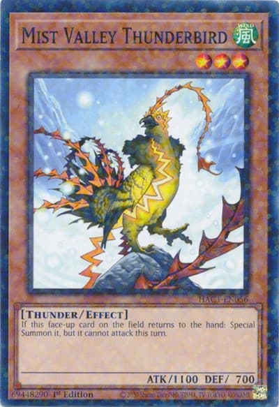 Mist Valley Thunderbird (Duel Terminal)