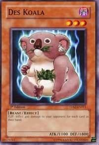 Des Koala