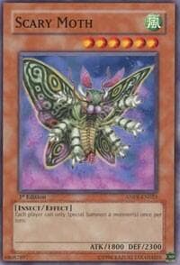 Scary Moth
