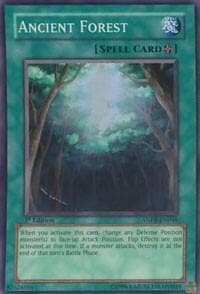 Ancient Forest