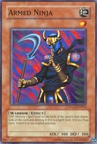 Armed Ninja