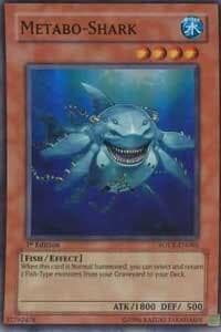 Metabo-Shark