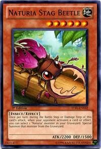 Naturia Stag Beetle