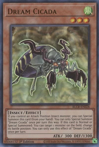 Dream Cicada