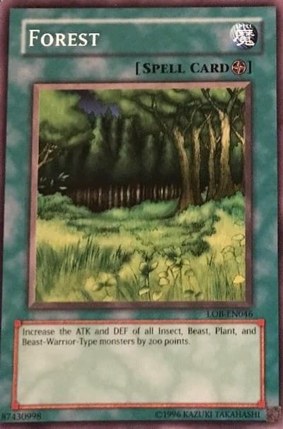 Forest