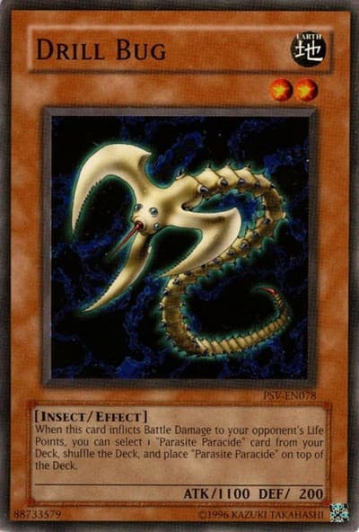 Drill Bug