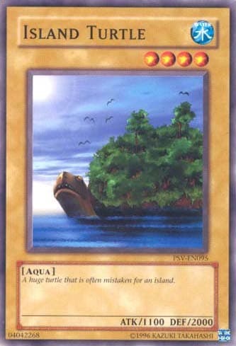 Island Turtle