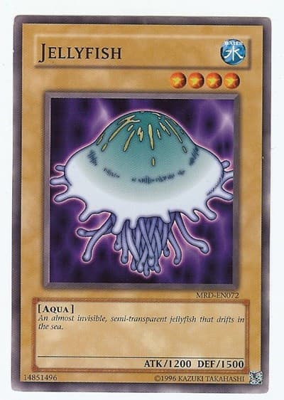 Jellyfish