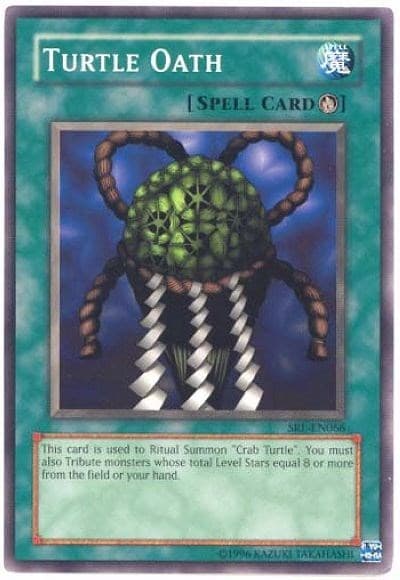 Turtle Oath