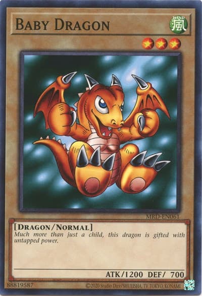 Baby Dragon