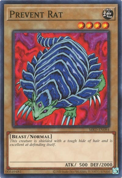 Prevent Rat