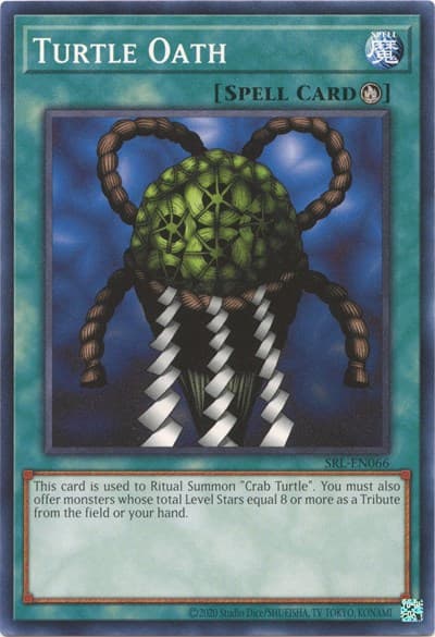 Turtle Oath