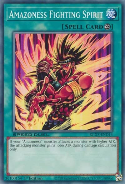 Amazoness Fighting Spirit