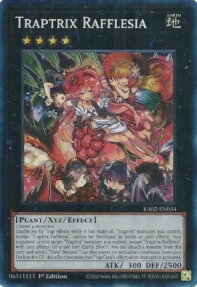 Traptrix Rafflesia (PCR)