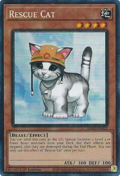 Rescue Cat (PCR)