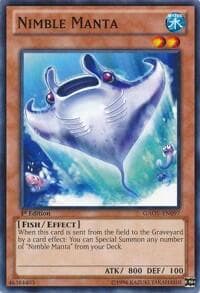 Nimble Manta