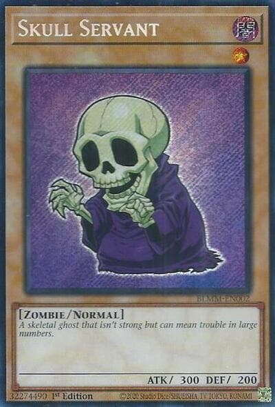 Skull Servant